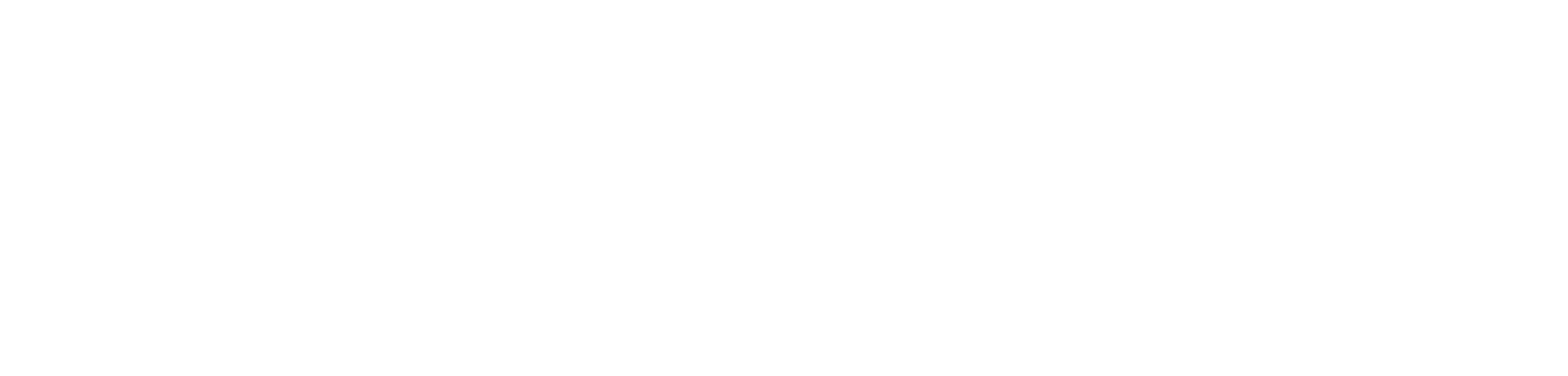 Schnittfest